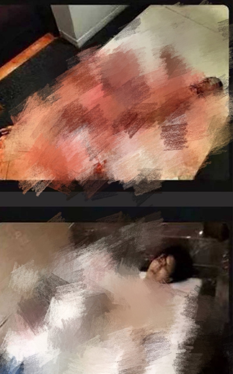 司晓迪